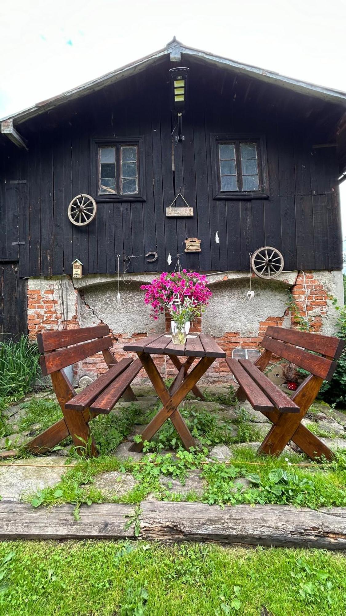 Apartamenty Goszowianka Stronie Śląskie Exterior foto
